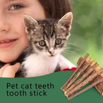 5шт Кошка Чистит Зубы Натуральной Кошачьей Мятой, Палочка Зубной Пасты Для Коренных Зубов Домашних Кошек Matatabi Actinidia Fruit Cat Snacks Sticks