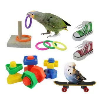 8шт Набор жевательных игрушек для дрессировки попугаев Мини-кроссовки, кольца для тренировки интеллекта на скейтборде, игрушки для птиц, принадлежности для птиц-попугаев, Какаду