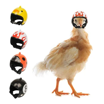 Шлем для голубя, шляпа для попугая, защитное снаряжение для домашних животных, солнцезащитный крем, дождевой шлем, Игрушечная птичка, товары для мелких домашних животных, аксессуары для одежды